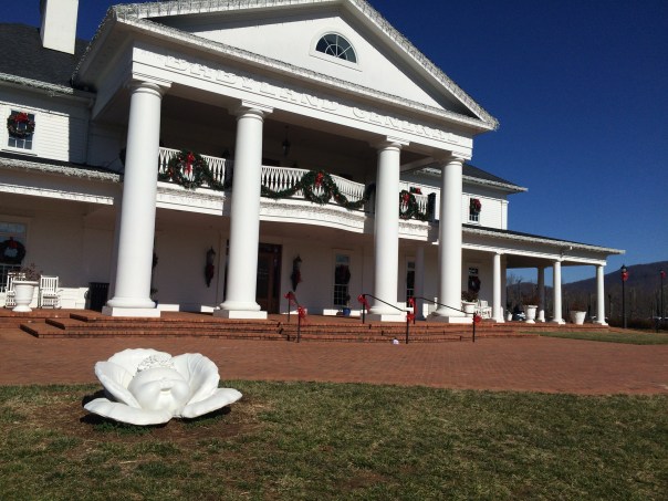 Babyland General, still decorated for the holidays. 